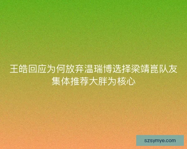 王皓回应为何放弃温瑞博选择梁靖崑队友集体推荐大胖为核心