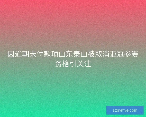 因逾期未付款项山东泰山被取消亚冠参赛资格引关注